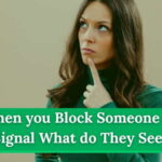 block someone on Signal what they see
